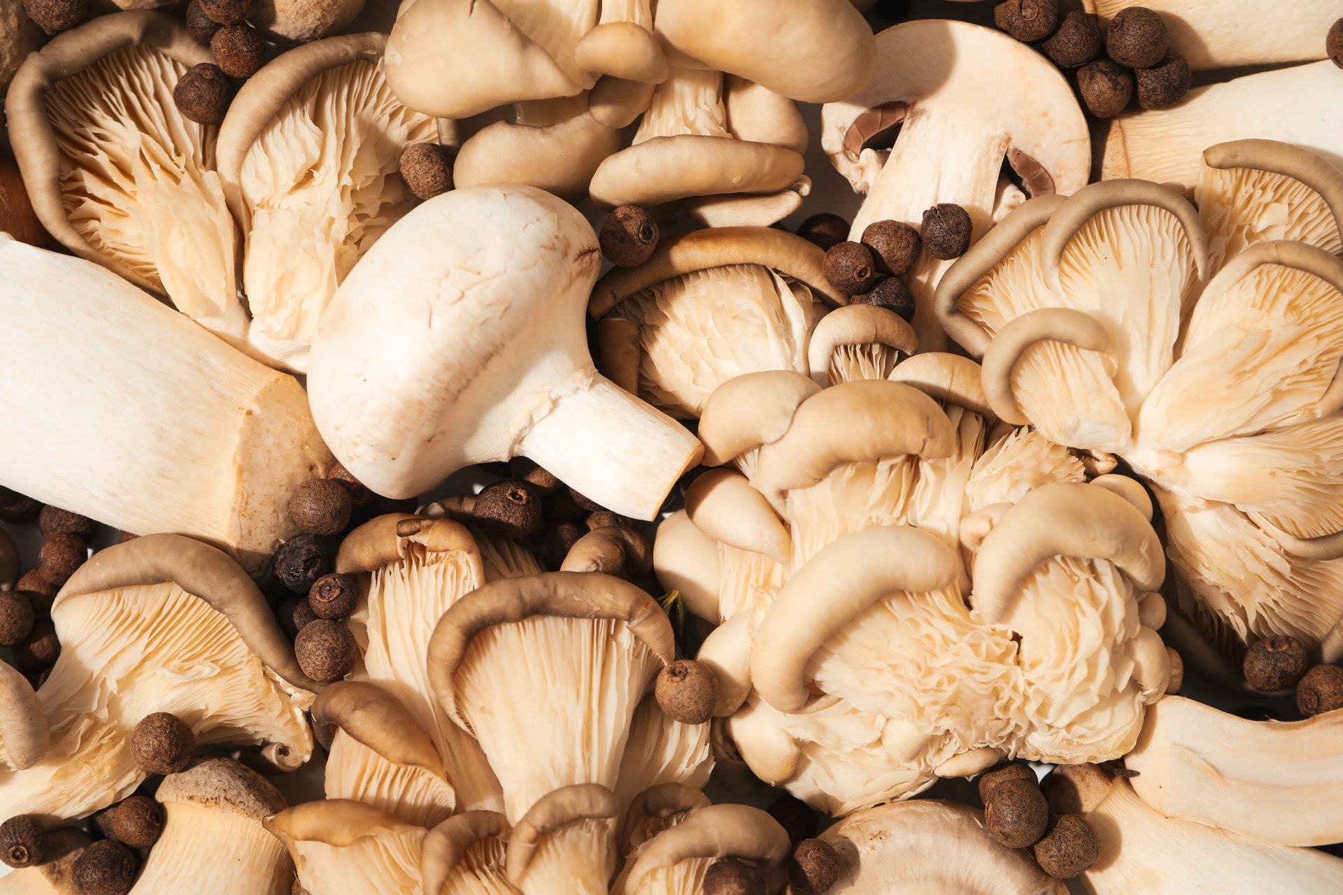 Mushroom coffee i koža: da li gljive zaista pomlađuju?